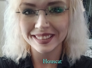 Houscat