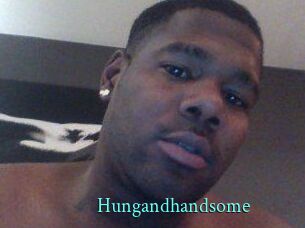 Hungandhandsome