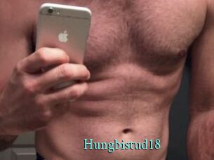 Hungbistud18
