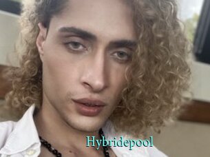 Hybridepool