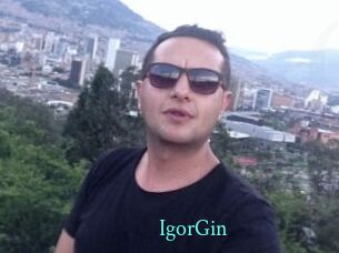 IgorGin