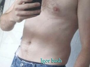 Igor_bash