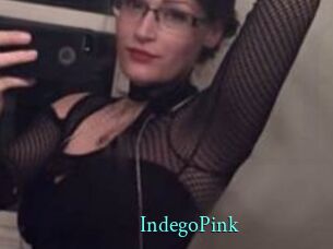 IndegoPink xxx Fantasy Land