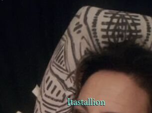 Itastallion