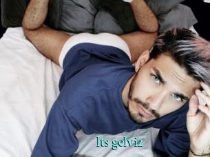Its_gelviz