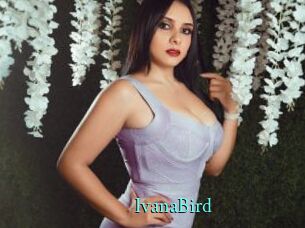 IvanaBird