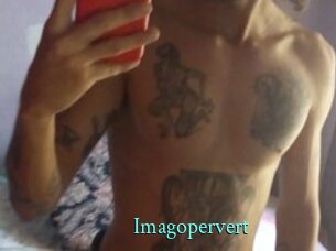 Imagopervert