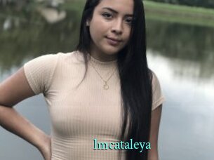 Imcataleya