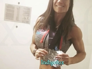 Indigofox