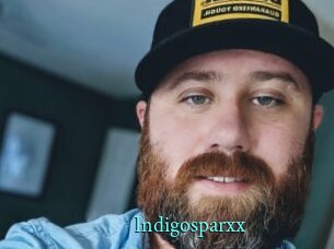 indigosparxx xxx Fantasy Land