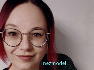 Inezmodel