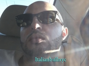 Italianbullnyc