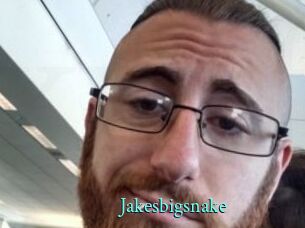 Jakesbigsnake