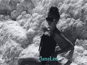 JaneLeef xxx Fantasy Land