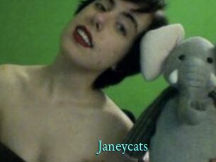 Janeycats