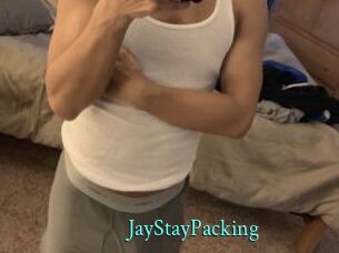 JayStayPacking xxx Fantasy Land