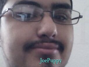 JoePuppy