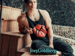 JoeyGoldberg