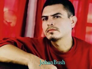 JohanBush