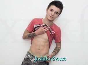 JoshBoySweet xxx Fantasy Land