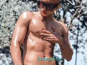JoshuaFox