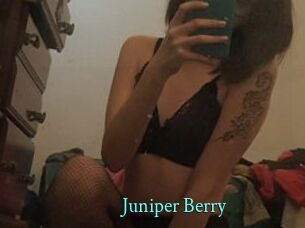 Juniper_Berry
