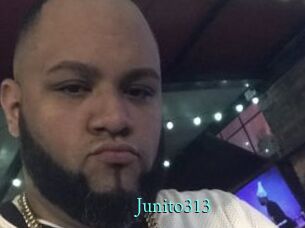 Junito313