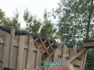 Jaap2020