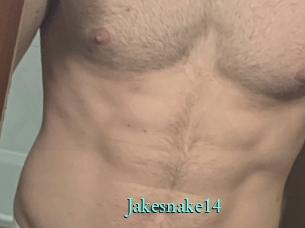 Jakesnake14