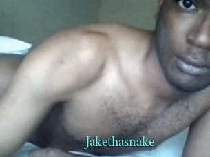 Jake_tha_snake