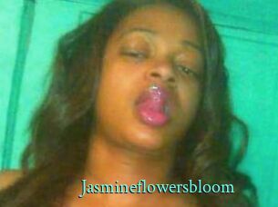 Jasmineflowersbloom