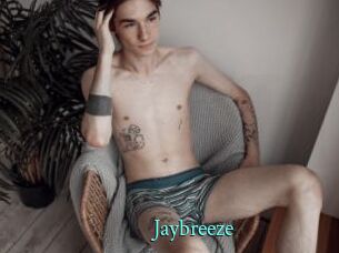 Jaybreeze