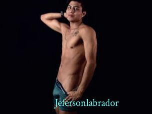 Jefersonlabrador