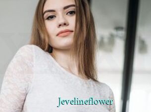 Jevelineflower
