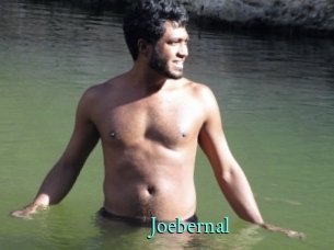 joebernal xxx Fantasy Land