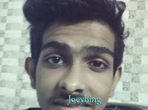 Joeybing