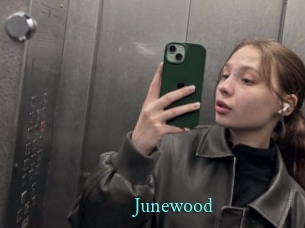 junewood xxx Fantasy Land