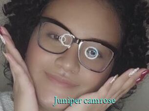 Juniper_camrose