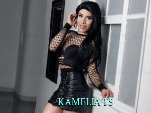 KAMELIA_TS