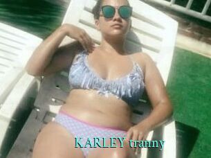 KARLEY_tranny