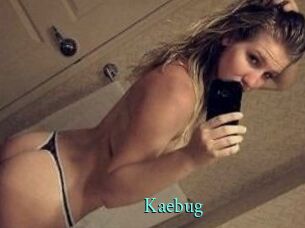 Kaebug