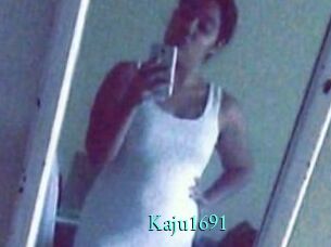 Kaju1691
