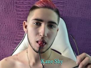Kane_Shy xxx Fantasy Land