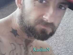 KashinN