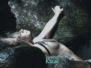 Katze