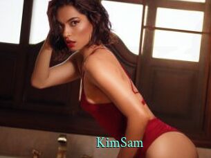 KimSam xxx Fantasy Land