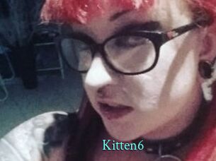 Kitten6