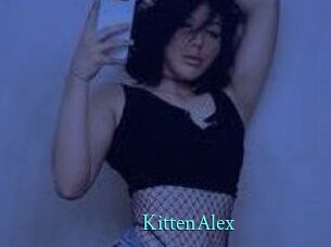 KittenAlex