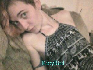 KittyBird