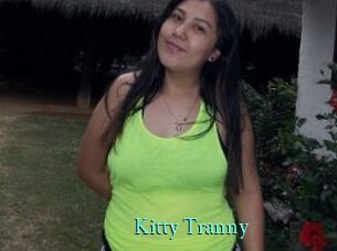 Kitty_Tranny xxx Fantasy Land